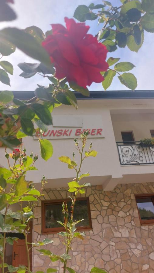 Villa Bunski Biser Blagaj Eksteriør billede